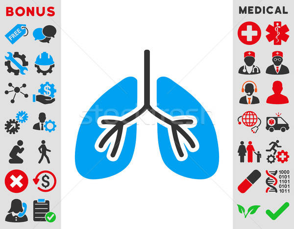 Lungs Icon Stock photo © ahasoft