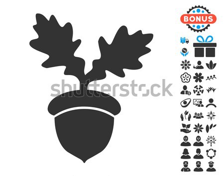 Oak Acorn Flat Icon Stock photo © ahasoft