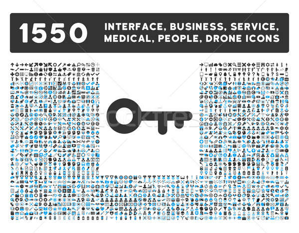 Key Icon and More Interface, Business, Tools, People, Medical, Awards Flat Glyph Icons Stock photo © ahasoft