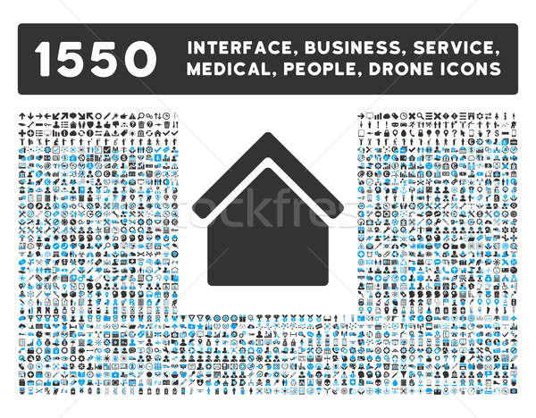 Home Icon and More Interface, Business, Tools, People, Medical, Awards Flat Glyph Icons Stock photo © ahasoft