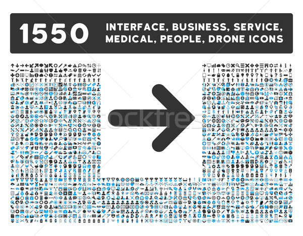 Arrow Right Icon and More Interface, Business, Tools, People, Medical, Awards Flat Glyph Icons Stock photo © ahasoft
