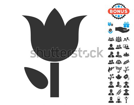 Sprout Care Hands Flat Icon Stock photo © ahasoft