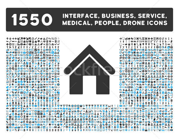 Home Icon and More Interface, Business, Tools, People, Medical, Awards Flat Glyph Icons Stock photo © ahasoft