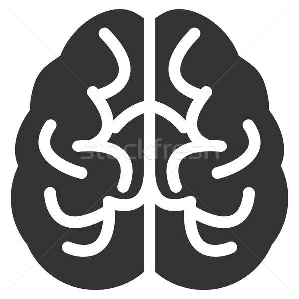 Brain Raster Icon Stock photo © ahasoft