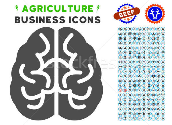 Zdjęcia stock: Mózgu · ikona · rolnictwa · zestaw · szary · handlowych