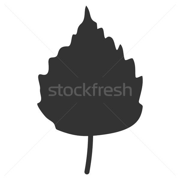 [[stock_photo]]: Bouleau · feuille · icône · vecteur · pictogramme · style