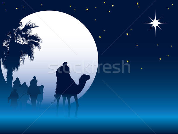 Noël nuit scène judicieux hommes chameaux Photo stock © Aiel