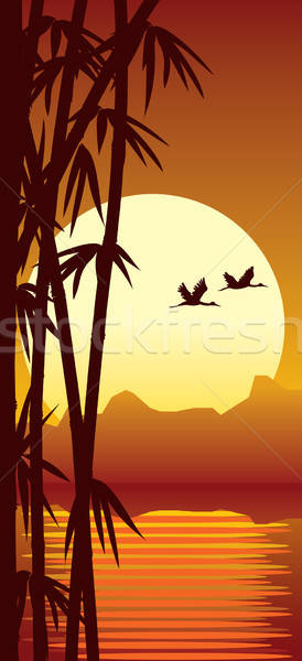 Bambou coucher du soleil forêt eau arbre [[stock_photo]] © Aiel