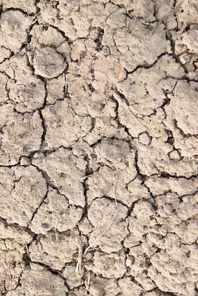 Dry land, dry scaly ground Stock photo © Aikon