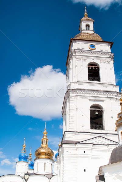 Kreml összetett város égbolt tájkép biztonság Stock fotó © Aikon