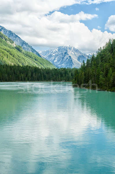 Kucherla lake in Altai Stock photo © Aikon