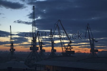 Twilight river cranes Stock photo © Aikon
