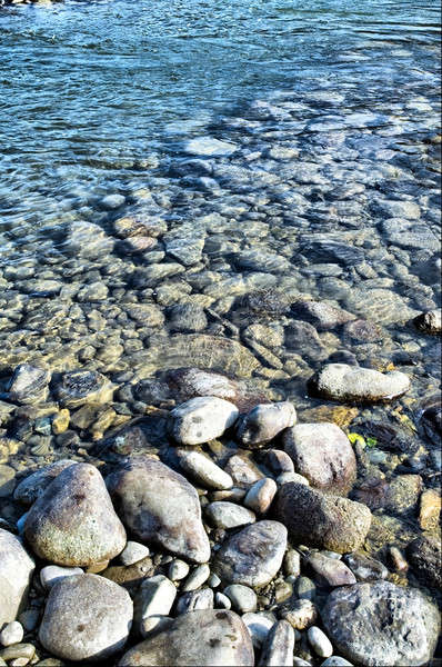 Bank of Katun river Stock photo © Aikon