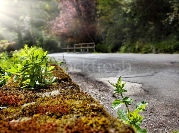 Montanha estrada pormenor lado primavera homem Foto stock © Ainat