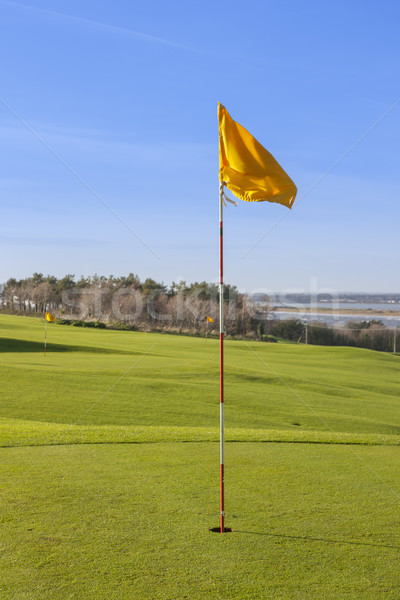 Grünen Golfplatz Golf Flagge Business Sport Stock foto © Aitormmfoto