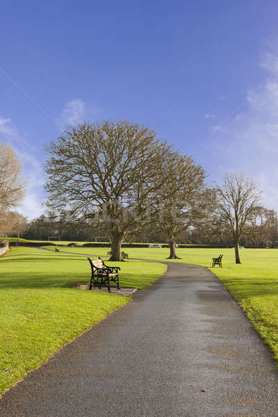 Ensoleillée jardin printemps paysage [[stock_photo]] © Aitormmfoto