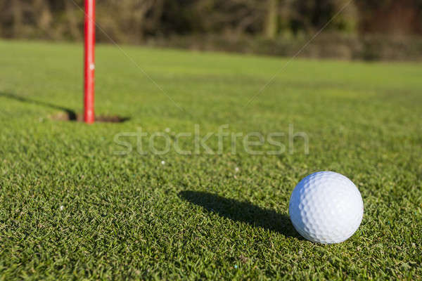 Golf verde primo piano pallina da golf buco erba Foto d'archivio © Aitormmfoto