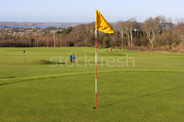 green in the golf course Stock photo © Aitormmfoto