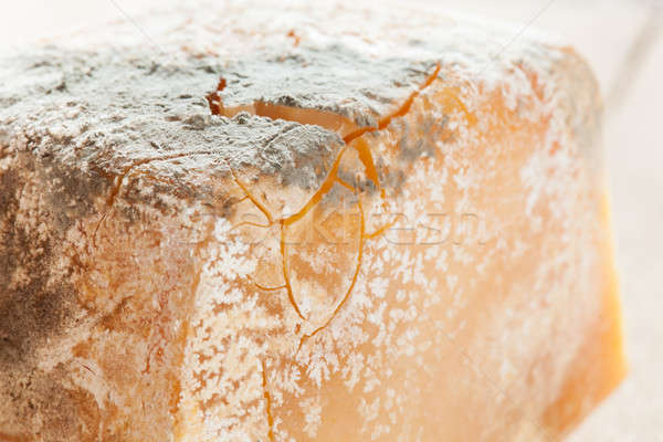 Mold on food Stock photo © ajfilgud