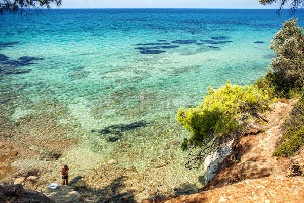 蓝色 ·海· 松树 / beautiful summer coast, blue sea and pine