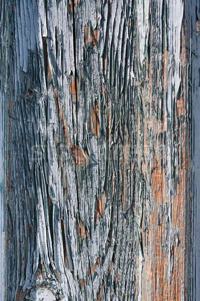 Hámozott fából készült fal kék festék épület Stock fotó © ajfilgud