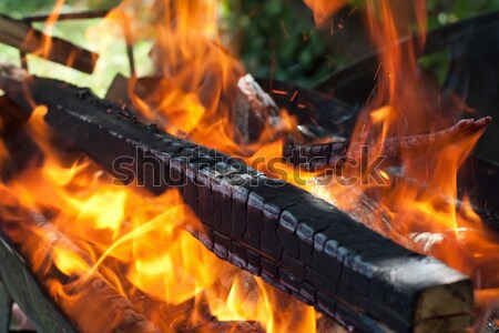 Tűz lángok barbecue fa narancs láng Stock fotó © ajfilgud