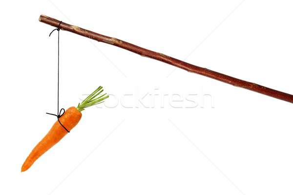 Stockfoto: Wortel · stick · string · geïsoleerd · witte