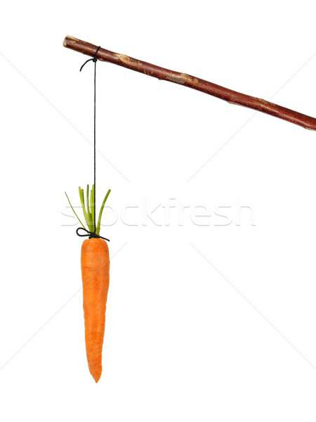 Stick and carrot Stock photo © ajt