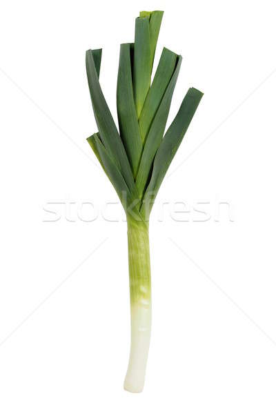 Frischen Lauch isoliert weiß grünen Essen Stock foto © ajt