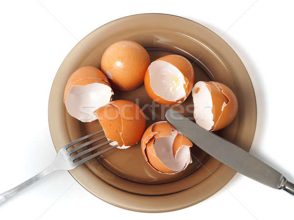 雞蛋 砲彈 菜 空的 健康 鈣 商業照片 © ajt