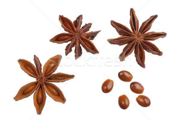 Star Anise Stock photo © ajt