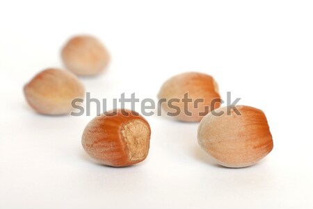 Hazel Nuts Stock photo © ajt