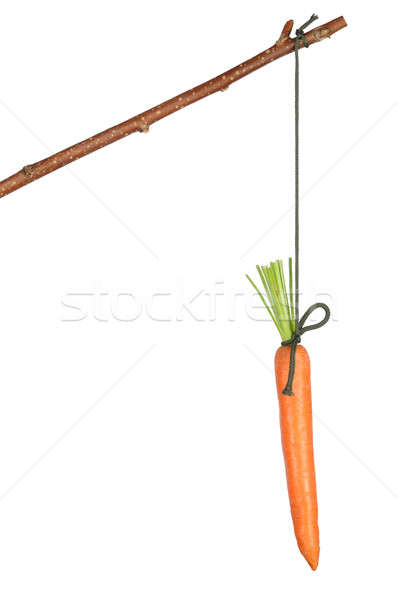 Zanahoria frescos rojo colgante blanco Foto stock © ajt