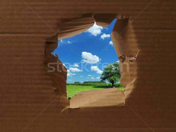Karton Loch zerrissen Mitte sonnig Landschaft Stock foto © ajt
