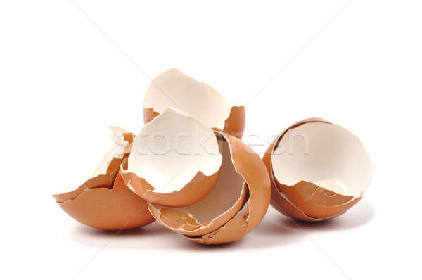 Eggshells Stock photo © ajt