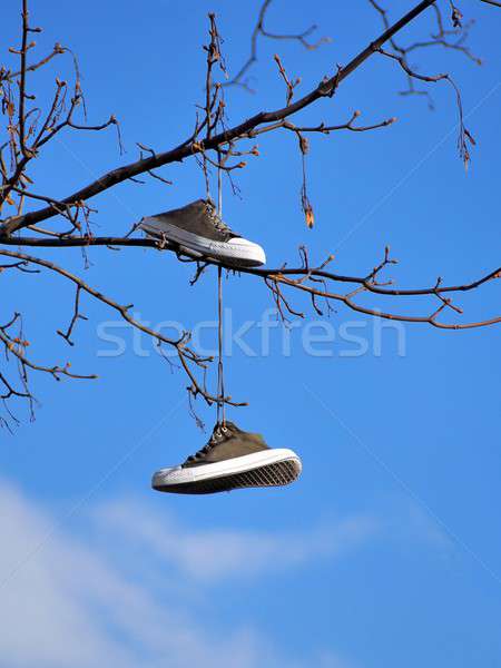 Schuhe Baum alten Sport hängen blauer Himmel Stock foto © ajt