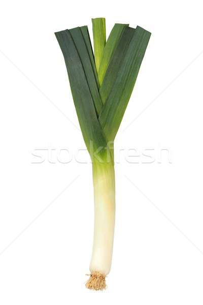 Lauch weiß isoliert Anlage Gemüse Gemüse Stock foto © ajt