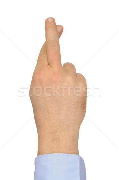 Finger weiß Hand isoliert Zeichen Finger Stock foto © ajt