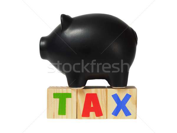 Tax money concept Stock photo © ajt
