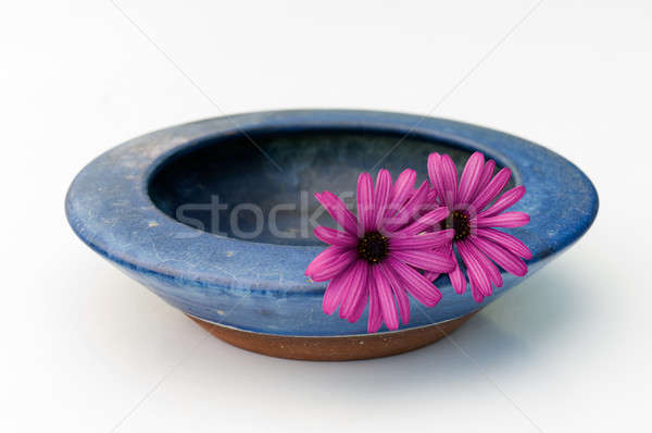 Bowl and flowers Stock photo © akarelias
