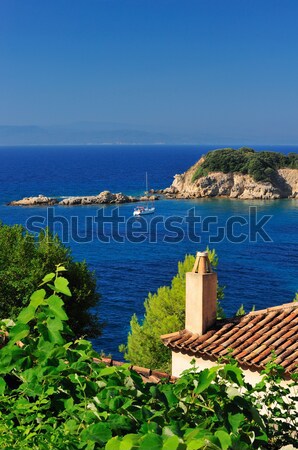 Greek village rooftops overlooking the Aegean Stock photo © akarelias