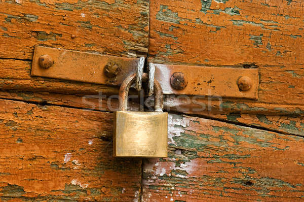 Security Stock photo © akarelias
