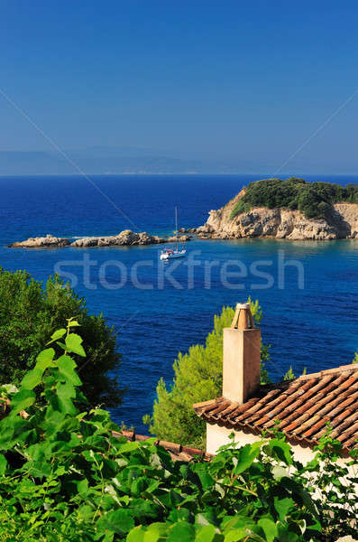 View from an Aegean island Stock photo © akarelias