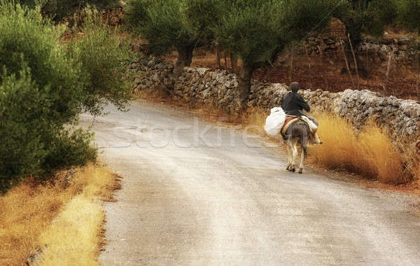 życia staruszka jazda konna osioł południowy Zdjęcia stock © akarelias