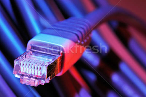 Ethernet kabel zdjęcie wtyczkę Zdjęcia stock © akarelias