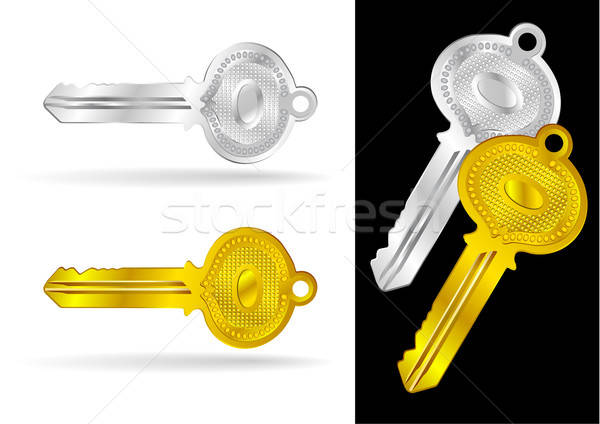 Vintage goud zilver sleutels vector illustraties Stockfoto © Akhilesh
