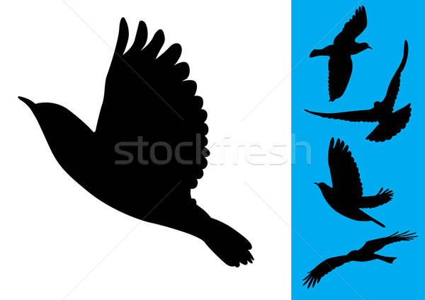 Birds in flight - Vector Illustrations Stock photo © Akhilesh