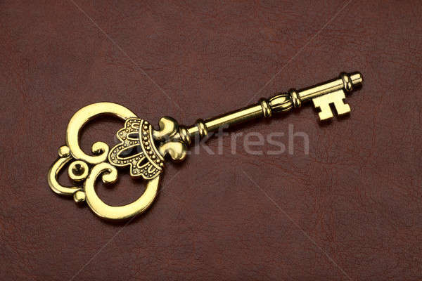 Vintage / Retro Golden Key on brown leather background Stock photo © Akhilesh