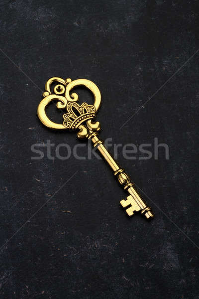 Golden Key with Crown on Black Background Stock photo © Akhilesh