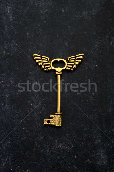 Golden Key with wings on Black Background Stock photo © Akhilesh